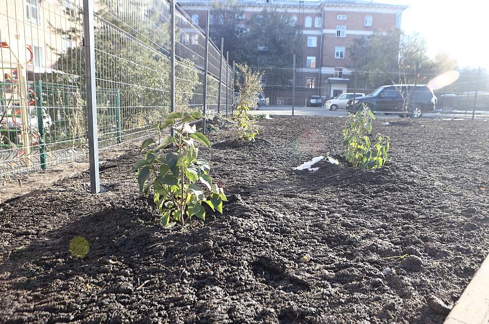 Фото В Новосибирске появилось новое общественное пространство на месте снесенного ДК имени Клары Цеткин 3 - Сиб.ФМ Фото В Новосибирске появилось новое общественное пространство на месте снесенного ДК имени Клары Цеткин 3