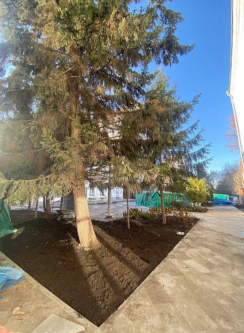 Фото В Новосибирске обустроили новую зелёную зону на площади Лыщинского 3