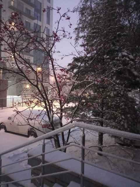 Фото Снежный циклон накрыл Новосибирск утром 9 октября 4 - Сиб.ФМ Фото Снежный циклон накрыл Новосибирск утром 9 октября 4