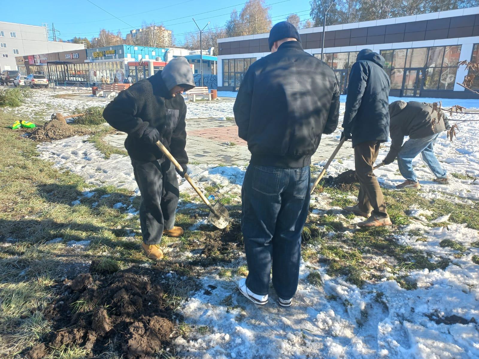 Фото «Нам не хватает зелени» 4 - Сиб.ФМ Фото «Нам не хватает зелени» 4