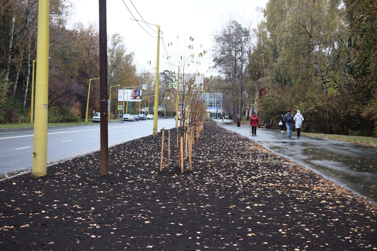 Фото В Советском районе Новосибирска завершают высадку более 1100 деревьев и кустарников 2 - Сиб.ФМ Фото В Советском районе Новосибирска завершают высадку более 1100 деревьев и кустарников 2