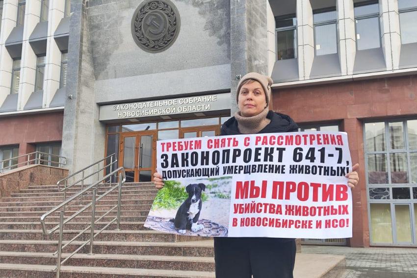 Фото Стычка вокруг закона об эвтаназии собак, повышение налогов, скандал с билбордами: главное в Новосибирске за 30 октября 2 - Сиб.ФМ Фото Стычка вокруг закона об эвтаназии собак, повышение налогов, скандал с билбордами: главное в Новосибирске за 30 октября 2