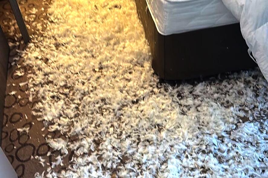 Фото Сергей Пенкин будет оспаривать штраф за матрас, испорченный им в Новосибирске 2