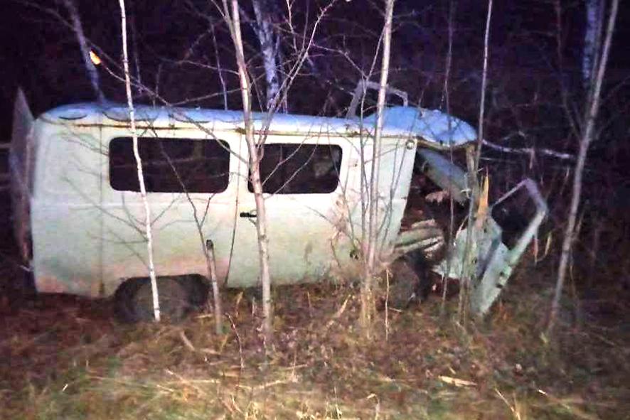 Фото В Новосибирской области водитель «буханки» протаранил дерево 2