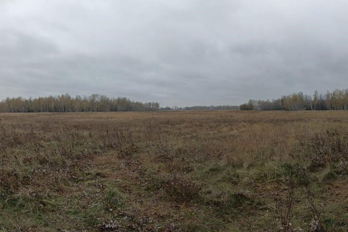 Фото Убийство на охоте, скорбь и похороны. Опубликованы подробности гибели чиновника Александра Гриба 2 - Сиб.ФМ Фото Убийство на охоте, скорбь и похороны. Опубликованы подробности гибели чиновника Александра Гриба 2