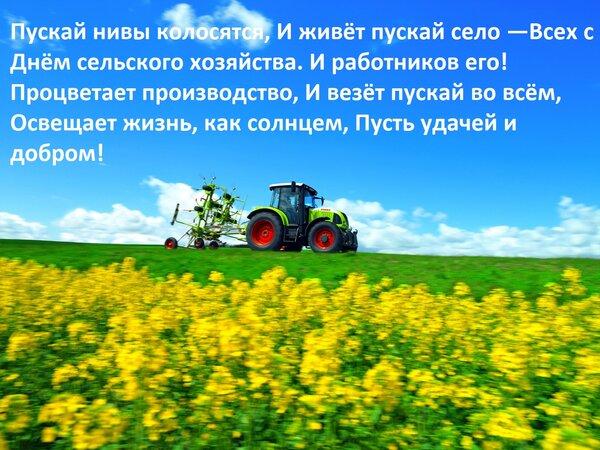 Фото День работника сельского хозяйства: красивые открытки с поздравлениями 5