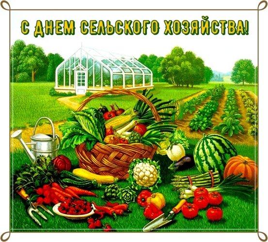 Фото День работника сельского хозяйства: красивые открытки с поздравлениями 3