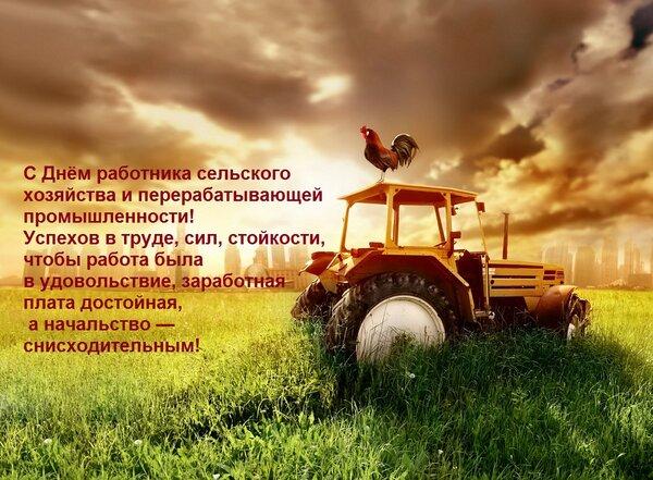 Фото День работника сельского хозяйства: красивые открытки с поздравлениями 4