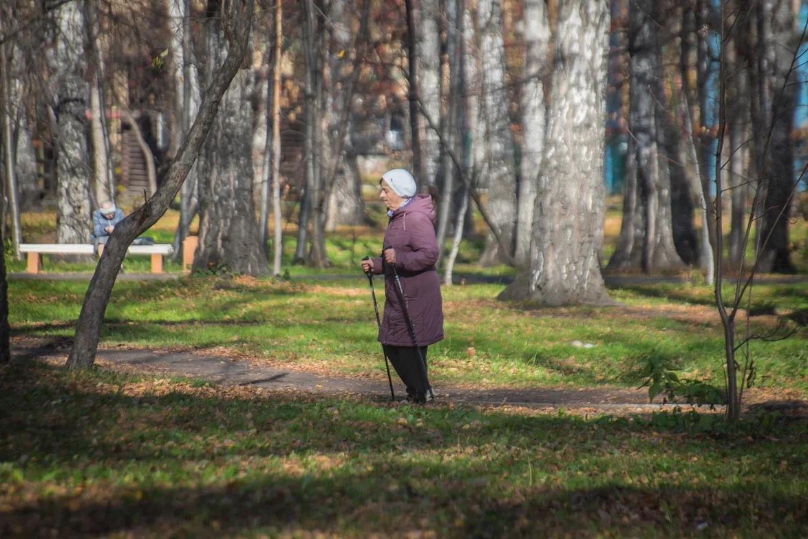 Фото Поймали мгновение: 10 фото золотой осени с улиц Новосибирска 9