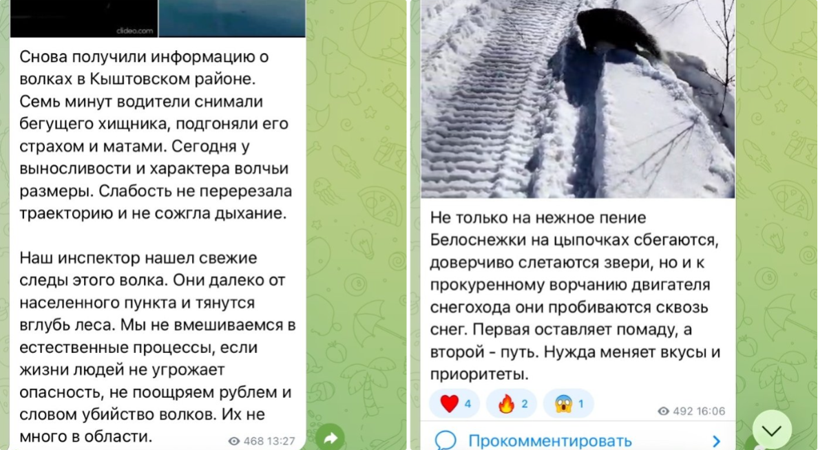 Фото Кто такой Евгений Шестернин? Глава Минприроды может уйти в отставку – эпатажные посты и громкие скандалы 2