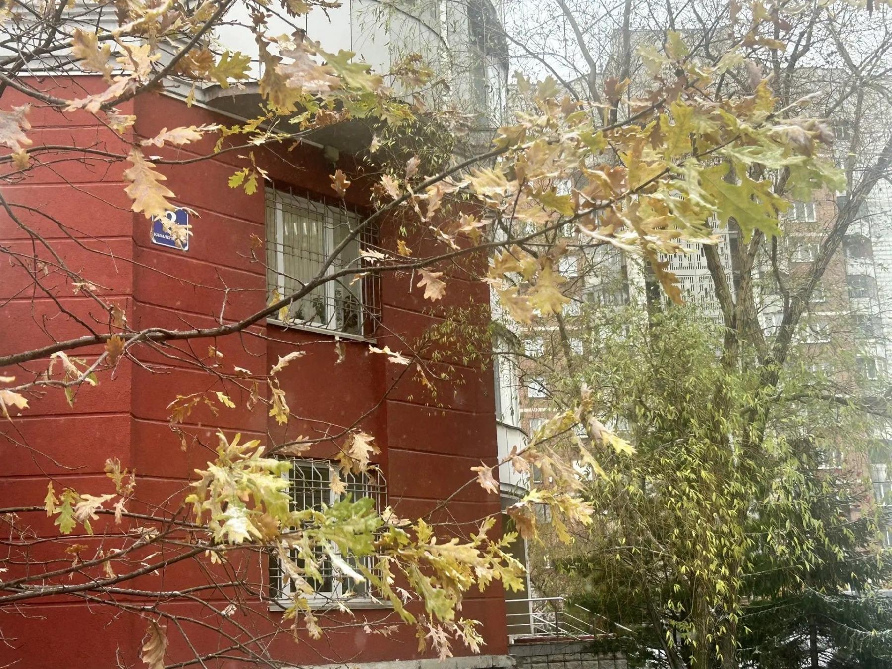 Фото Осень уступила место зиме: Новосибирск засыпало снегом 21 октября — 11 кадров снежного утра 6 - Сиб.ФМ Фото Осень уступила место зиме: Новосибирск засыпало снегом 21 октября — 11 кадров снежного утра 6