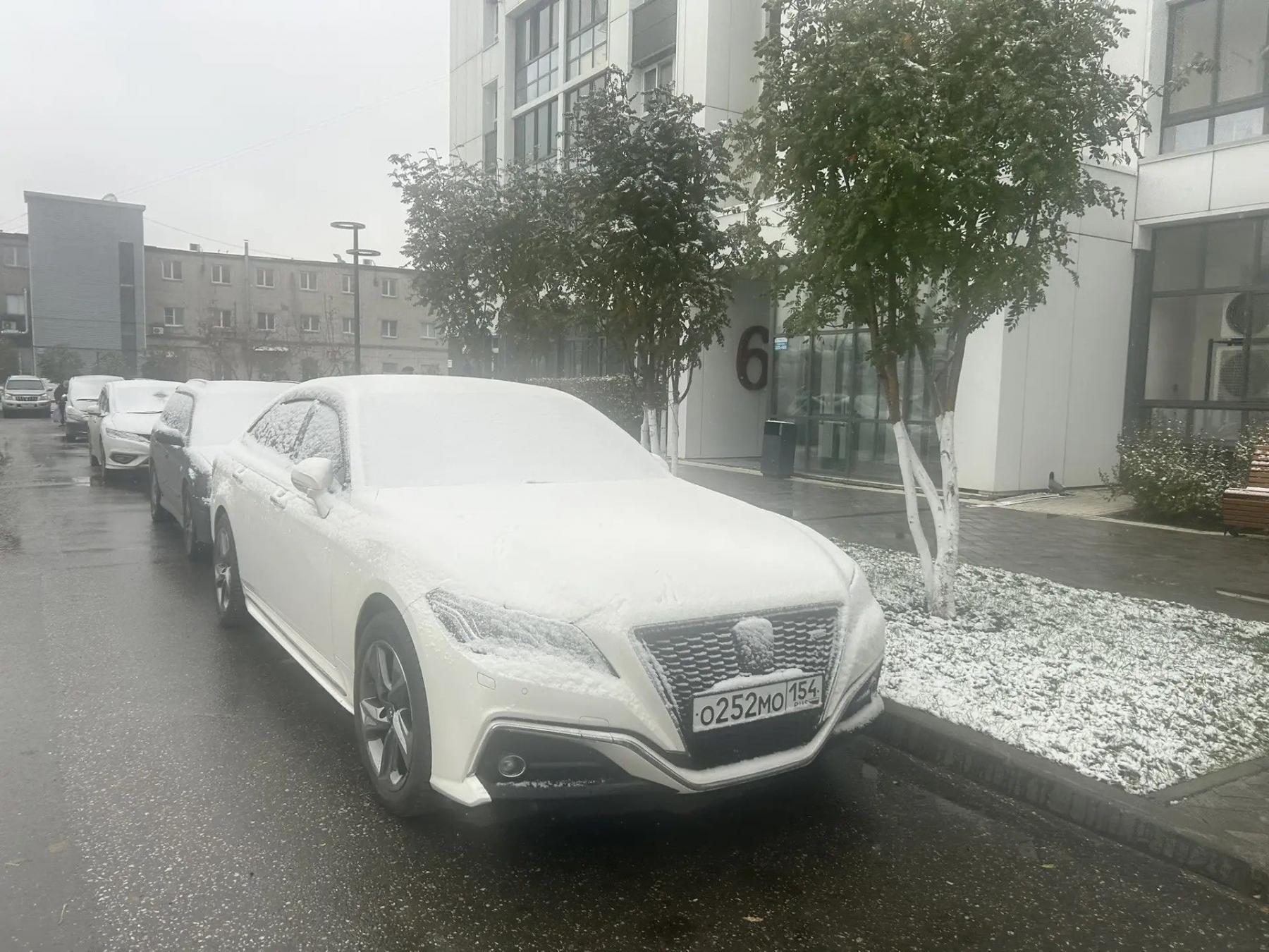Фото Осень уступила место зиме: Новосибирск засыпало снегом 21 октября — 11 кадров снежного утра 4 - Сиб.ФМ Фото Осень уступила место зиме: Новосибирск засыпало снегом 21 октября — 11 кадров снежного утра 4