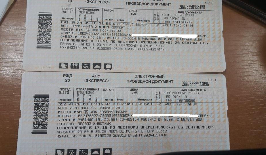 Екатеринбург барнаул жд билеты. ЖД билеты. Билеты РЖД. Фотография билета на поезд. Билеты ЖД на поезд.