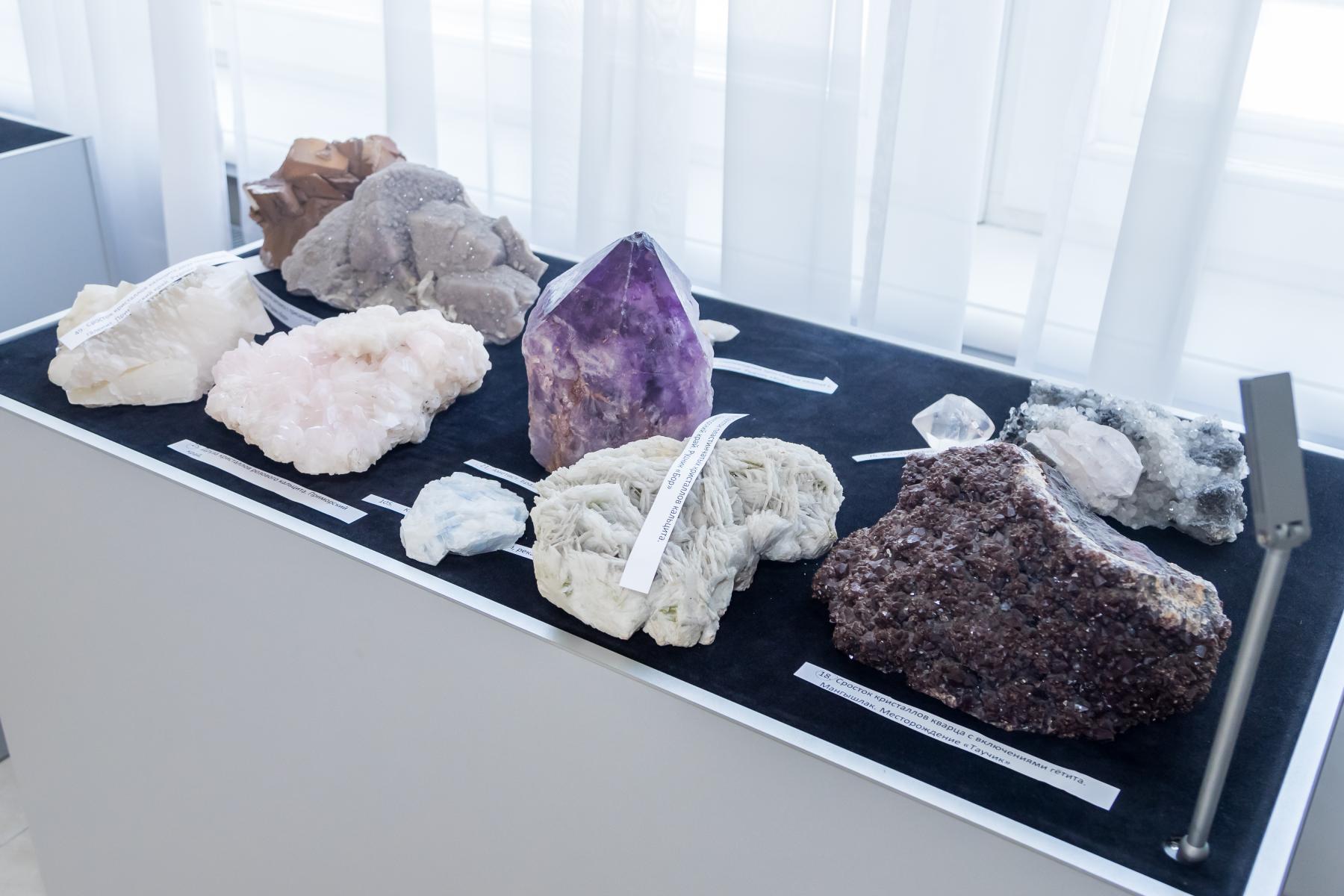 Фото Новосибирский бизнесмен Дмитрий Терешков показал уникальную коллекцию камней 7
