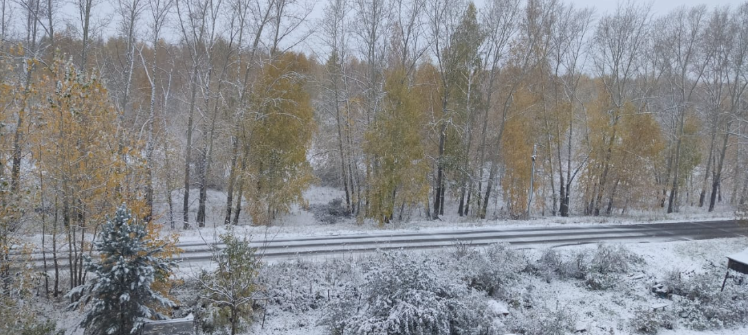 Фото Новосибирск засыпало снегом 28 сентября 8