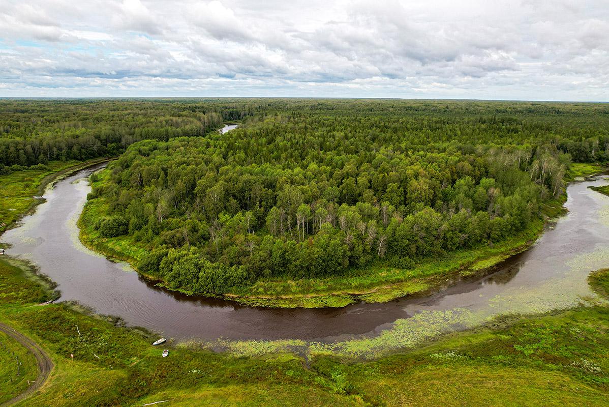 Фото Край Васюганских болот, где сражался Ермак и добывают нефть: чем нас удивил Северный район 3