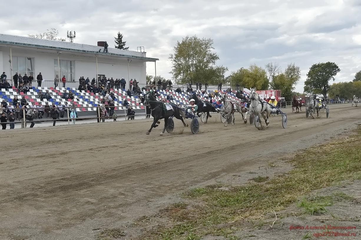 Фото Финал соревнований по конному спорту прошёл в Новосибирске 2
