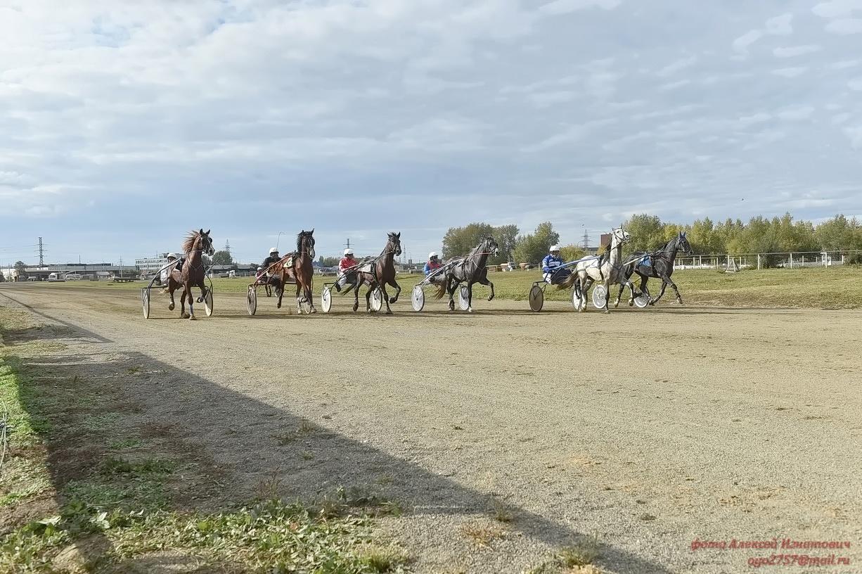 Фото Финал соревнований по конному спорту прошёл в Новосибирске 5