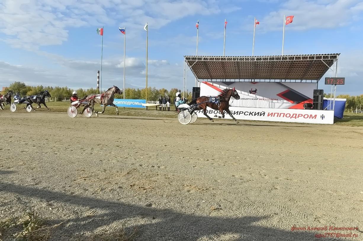 Фото Финал соревнований по конному спорту прошёл в Новосибирске 3