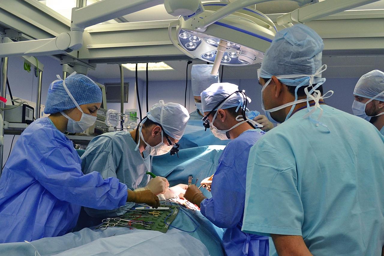 Фото «”Чёрные трансплантологи” начнут охоту»: хирурги объяснили дефицит донорских органов в Новосибирске 5