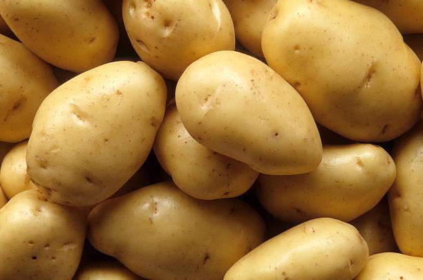 Фото «Такое только свиньям»: как отличить кормовой картофель от хорошего 3
