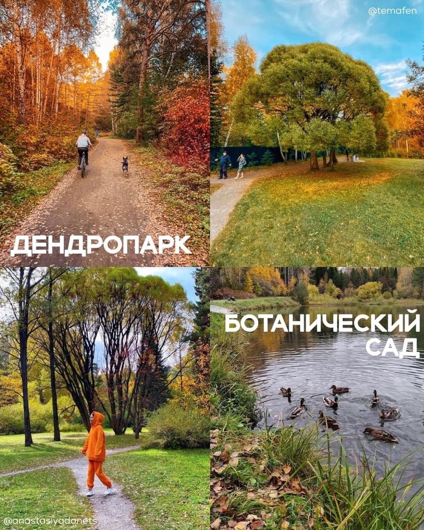 Фото Жители Новосибирска назвали самые живописные места для осенних фото 4