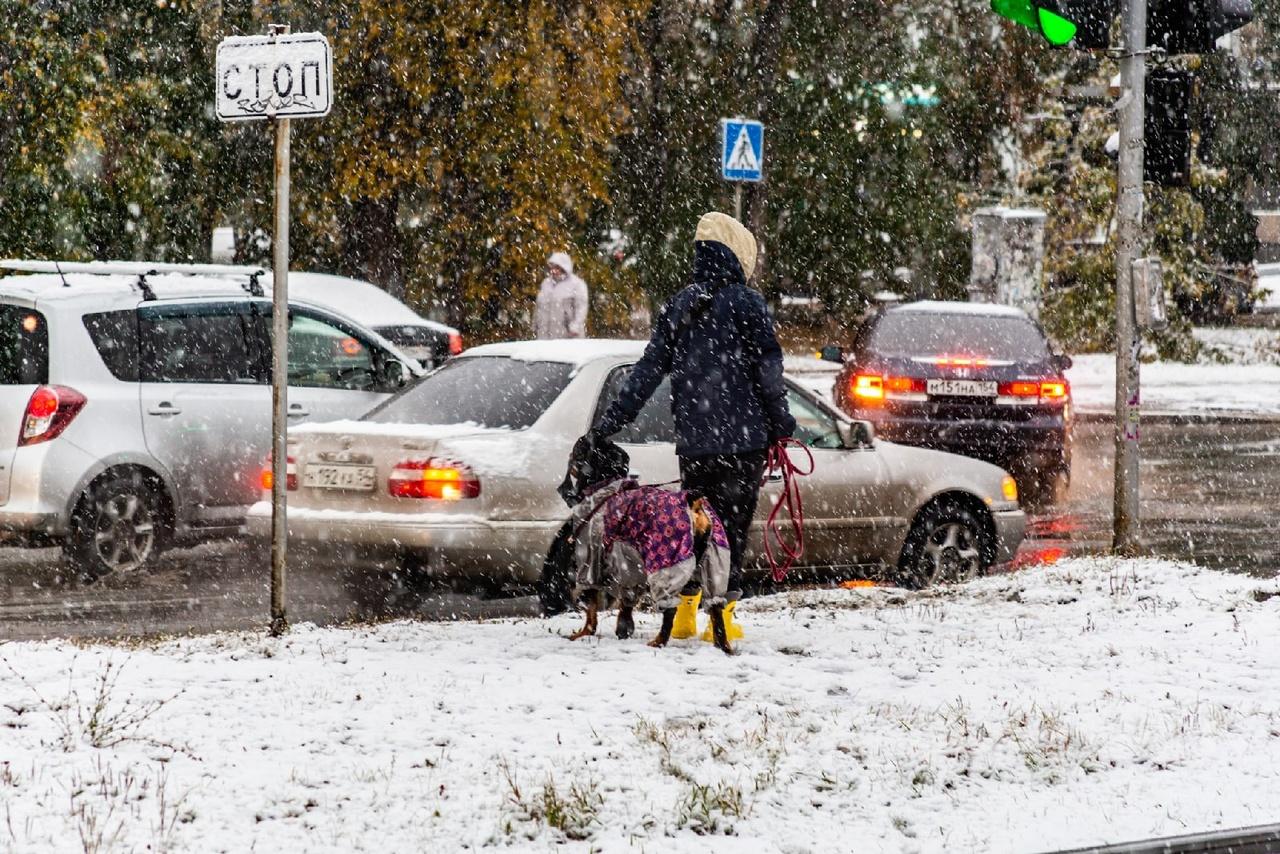 Фото Новосибирск накрыло снегом: 15 фантастических фото с улиц города 3
