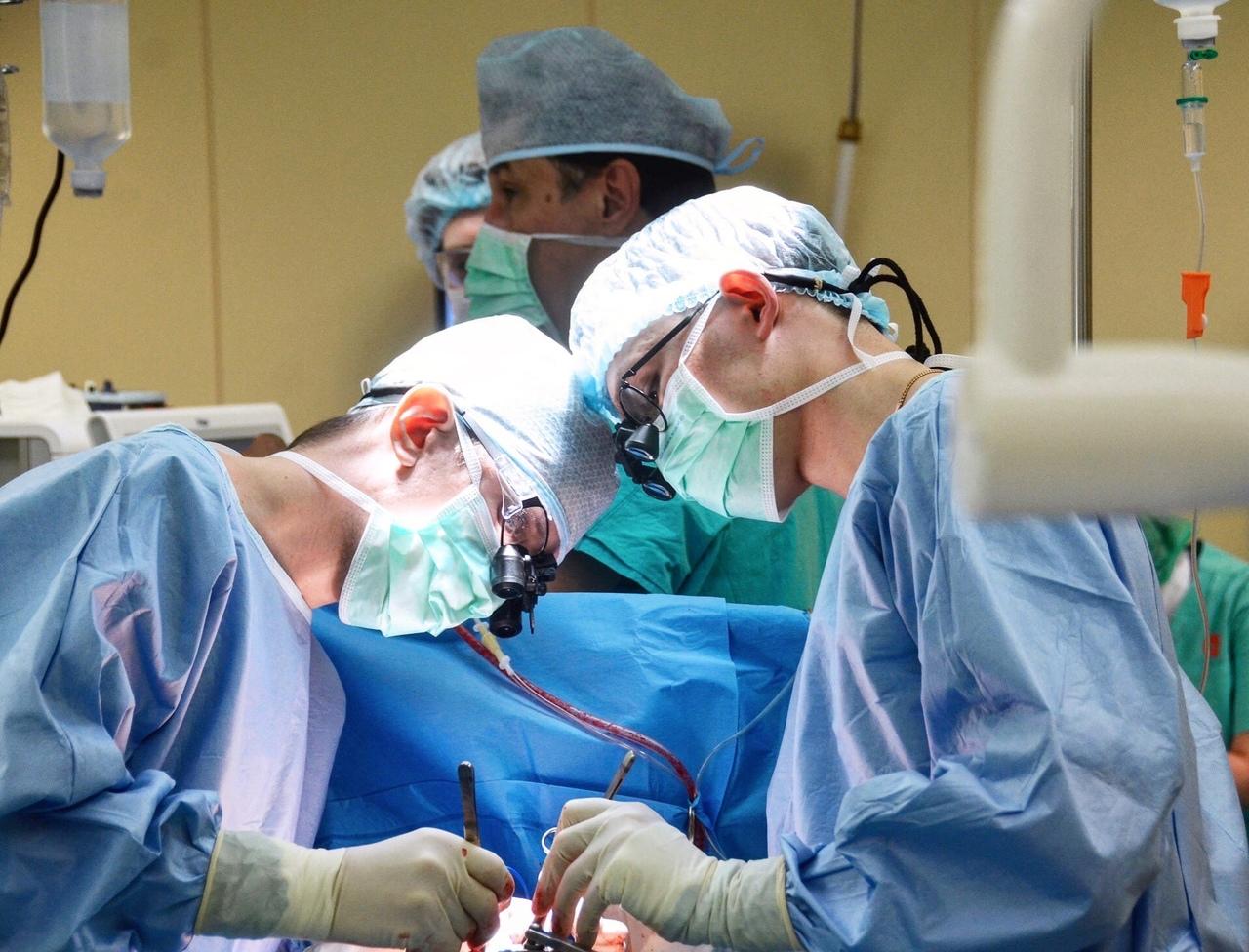 Фото «”Чёрные трансплантологи” начнут охоту»: хирурги объяснили дефицит донорских органов в Новосибирске 2