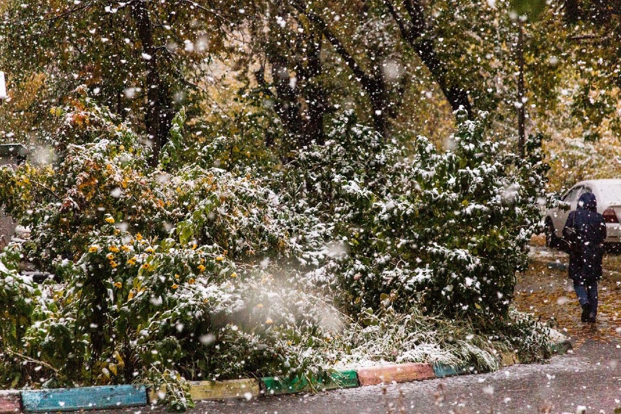Фото Новосибирск накрыло снегом: 15 фантастических фото с улиц города 16