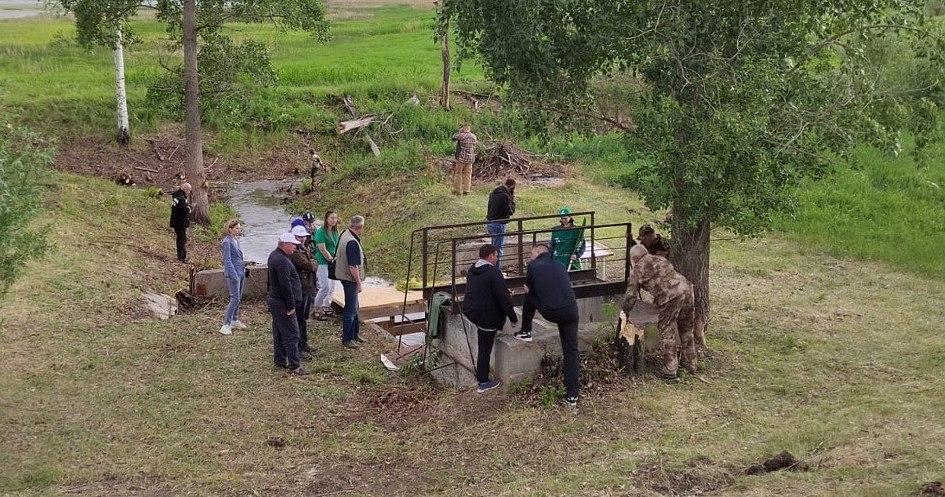 Фото На алтайском курорте выпустили 50 тысяч мальков нельмы в сибирские реки 3 - Сиб.ФМ Фото На алтайском курорте выпустили 50 тысяч мальков нельмы в сибирские реки 3