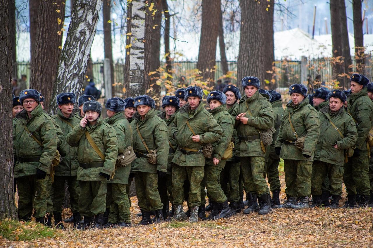 Фото В Новосибирской области участники СВО бесплатно получат земельные участки 2