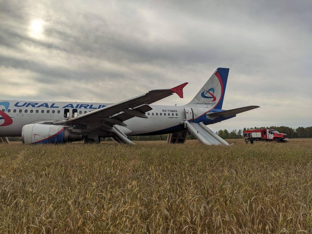 Фото Чудо на пшеничном поле: что известно об экстренной посадке Airbus A320 под Новосибирском — в одном материале 3