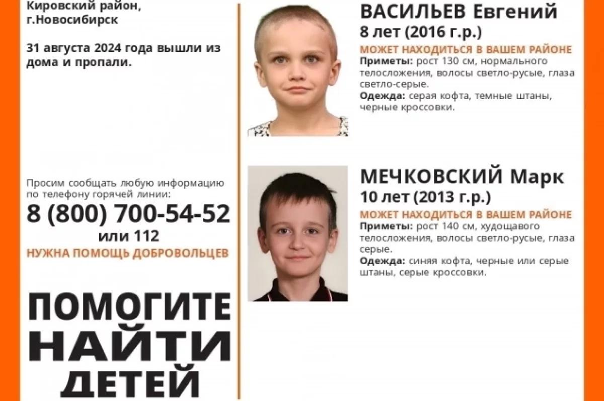 Фото Концерт AMCHI и падение дерева на опору ЛЭП: главные новости Новосибирской области за 1 сентября 5