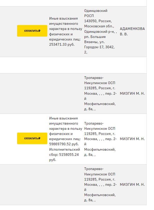 Фото С экс-мужа певицы из Новосибирска Пелагеи приставы взыскивают долг 60 млн рублей по алиментам и имуществу 2