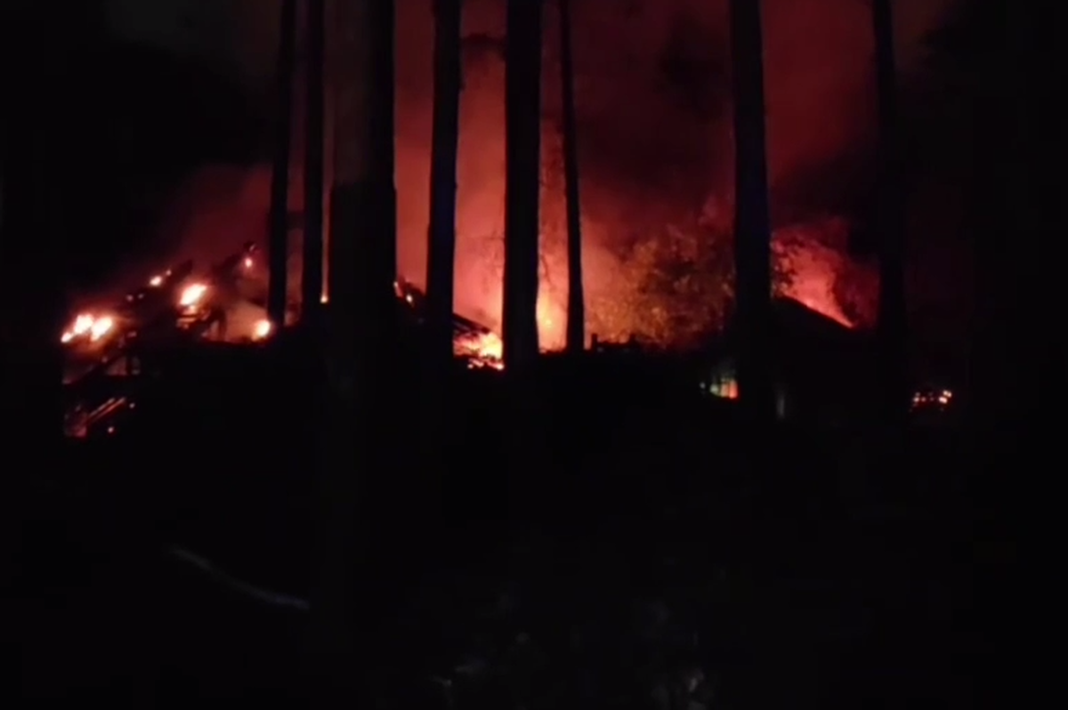 Фото Погибшие животные и огромное пламя: появились подробности пожара в Новосибирском зоопарке 4 - Сиб.ФМ Фото Погибшие животные и огромное пламя: появились подробности пожара в Новосибирском зоопарке 4