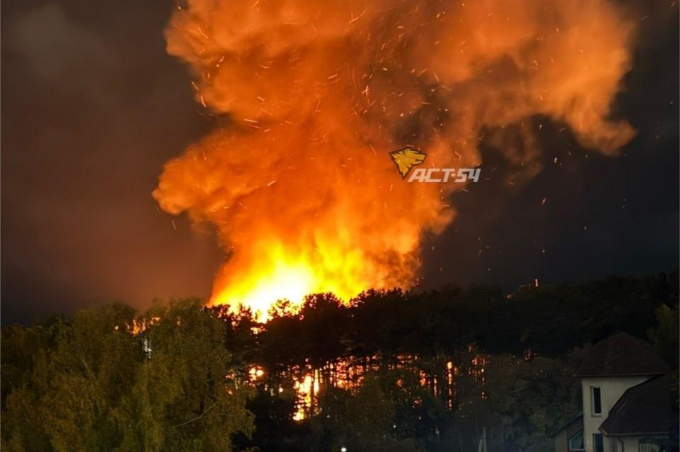 Фото Погибшие животные и огромное пламя: появились подробности пожара в Новосибирском зоопарке 2 - Сиб.ФМ Фото Погибшие животные и огромное пламя: появились подробности пожара в Новосибирском зоопарке 2