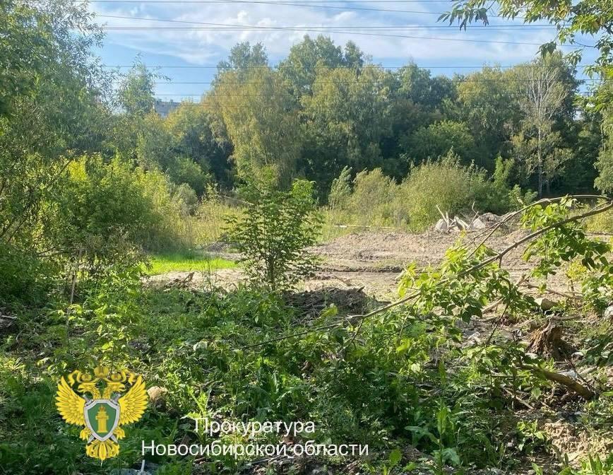 Фото Берег реки Ельцовка 2-я в Новосибирске очищен от мусора после вмешательства прокуратуры 2 - Сиб.ФМ Фото Берег реки Ельцовка 2-я в Новосибирске очищен от мусора после вмешательства прокуратуры 2