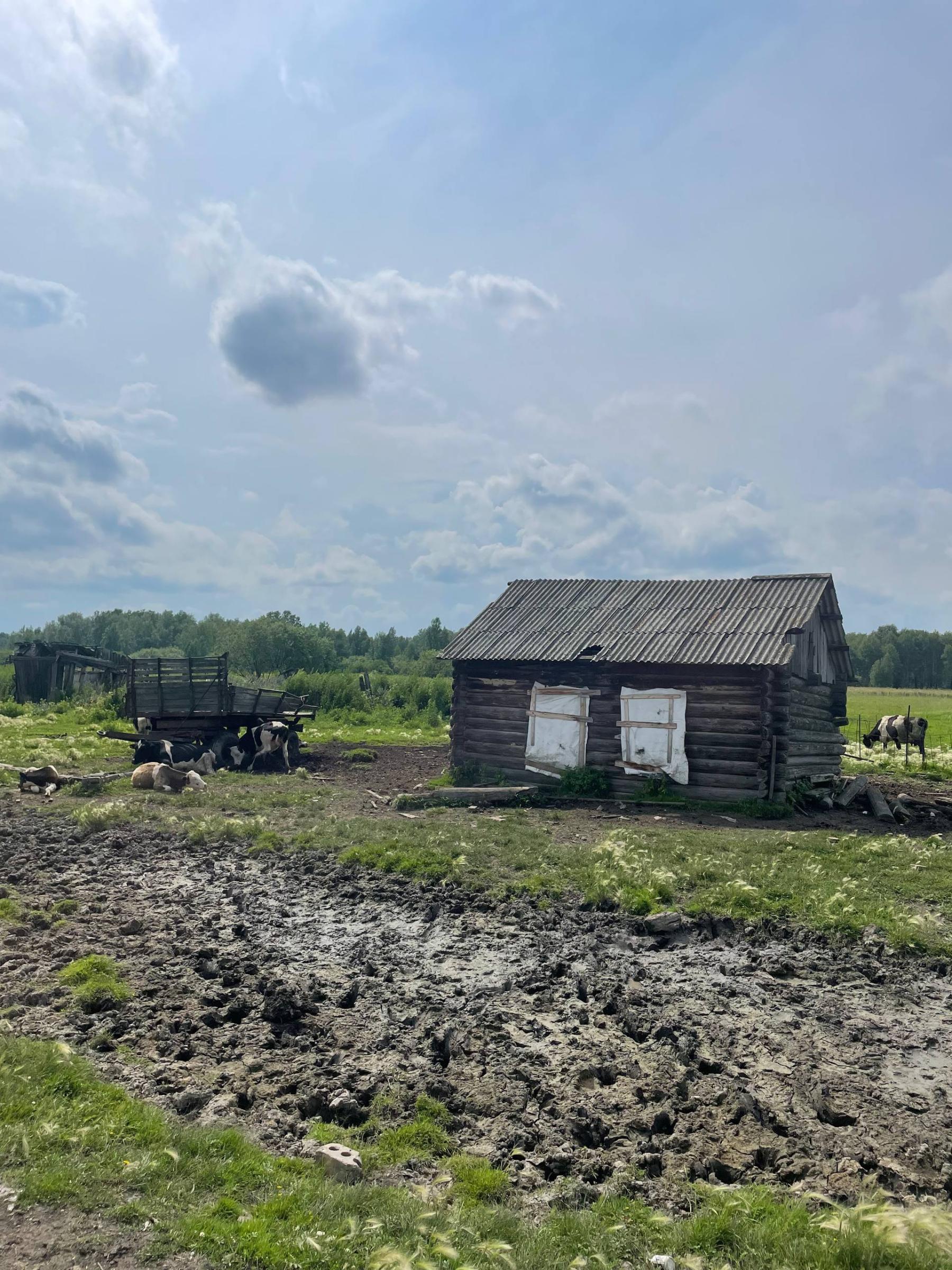 Фото Журналист обнаружил под Новосибирском поселок с «мертвыми душами» 3