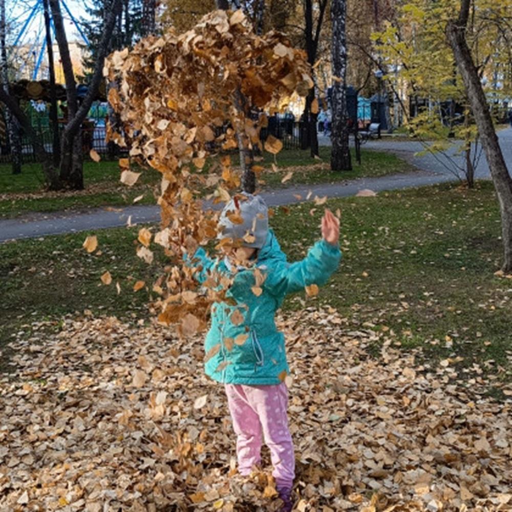 Фото Золотая осень наступила в Новосибирске: фоторепортаж 5 - Сиб.ФМ Фото Золотая осень наступила в Новосибирске: фоторепортаж 5