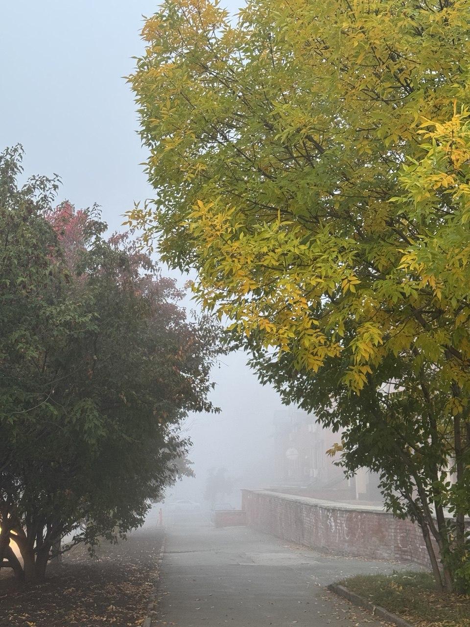 Фото Новосибирск окутал густой туман утром 17 сентября – 15 завораживающих кадров 4 - Сиб.ФМ Фото Новосибирск окутал густой туман утром 17 сентября – 15 завораживающих кадров 4