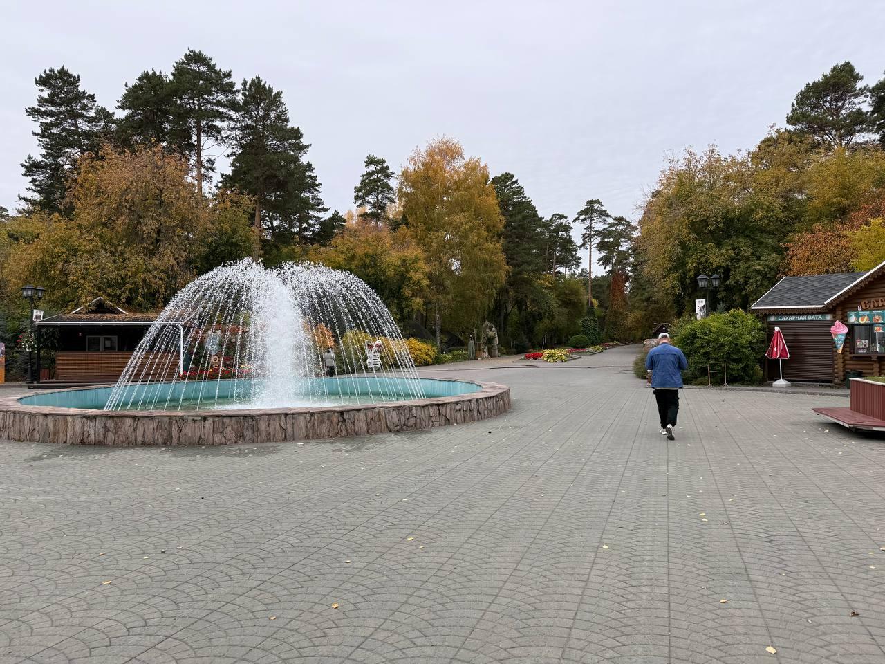 Фото Опубликованы кадры последствия пожара в Новосибирском зоопарке 2 - Сиб.ФМ Фото Опубликованы кадры последствия пожара в Новосибирском зоопарке 2
