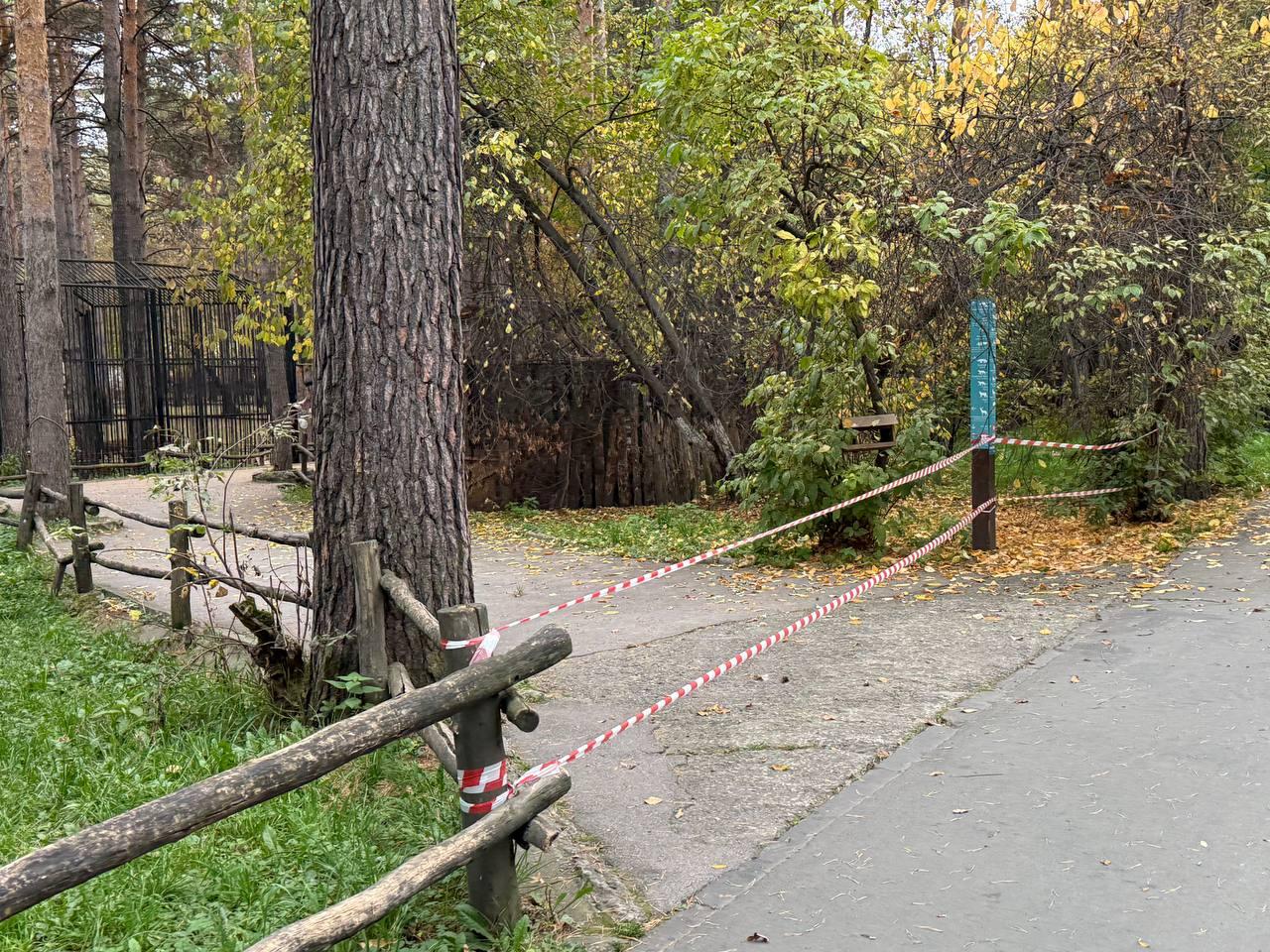 Фото Опубликованы кадры последствия пожара в Новосибирском зоопарке 3 - Сиб.ФМ Фото Опубликованы кадры последствия пожара в Новосибирском зоопарке 3