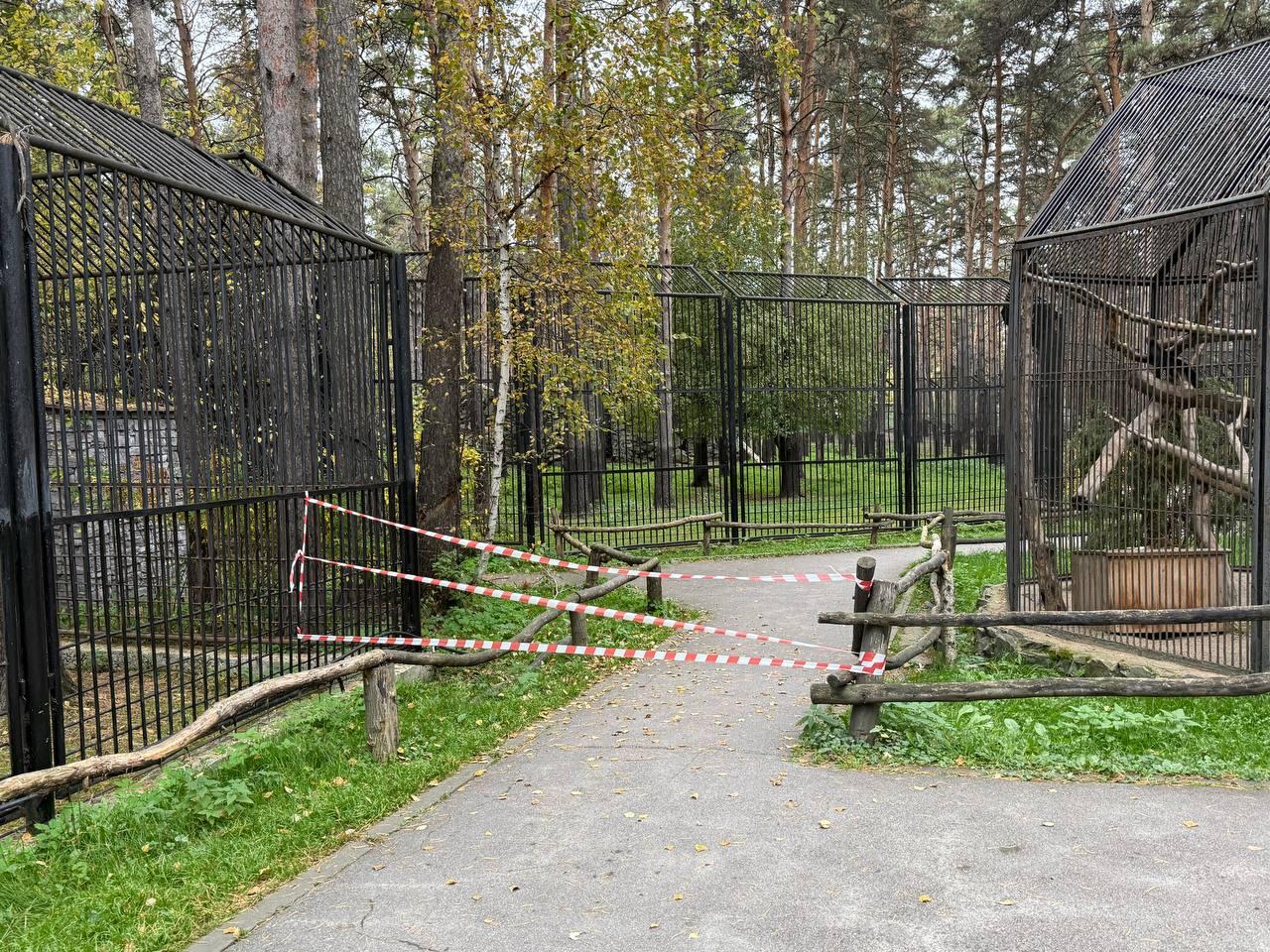 Фото Опубликованы кадры последствия пожара в Новосибирском зоопарке 6