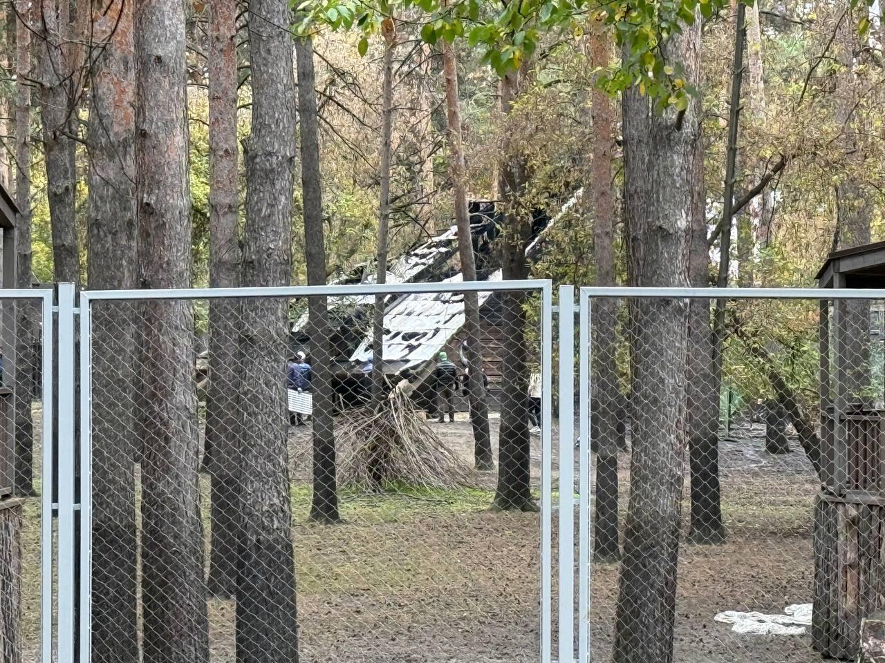 Фото Опубликованы кадры последствия пожара в Новосибирском зоопарке 5