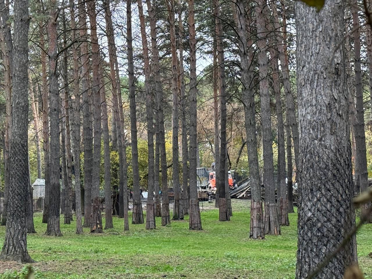 Фото Опубликованы кадры последствия пожара в Новосибирском зоопарке 7 - Сиб.ФМ Фото Опубликованы кадры последствия пожара в Новосибирском зоопарке 7