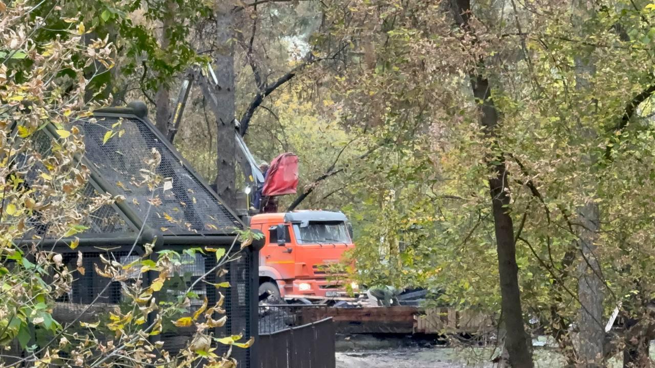 Фото Опубликованы кадры последствия пожара в Новосибирском зоопарке 4 - Сиб.ФМ Фото Опубликованы кадры последствия пожара в Новосибирском зоопарке 4