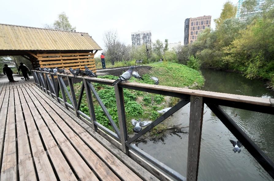 Фото Первый в России заливной ландшафтный парк «Каменка» открыт в Новосибирске 2 - Сиб.ФМ Фото Первый в России заливной ландшафтный парк «Каменка» открыт в Новосибирске 2