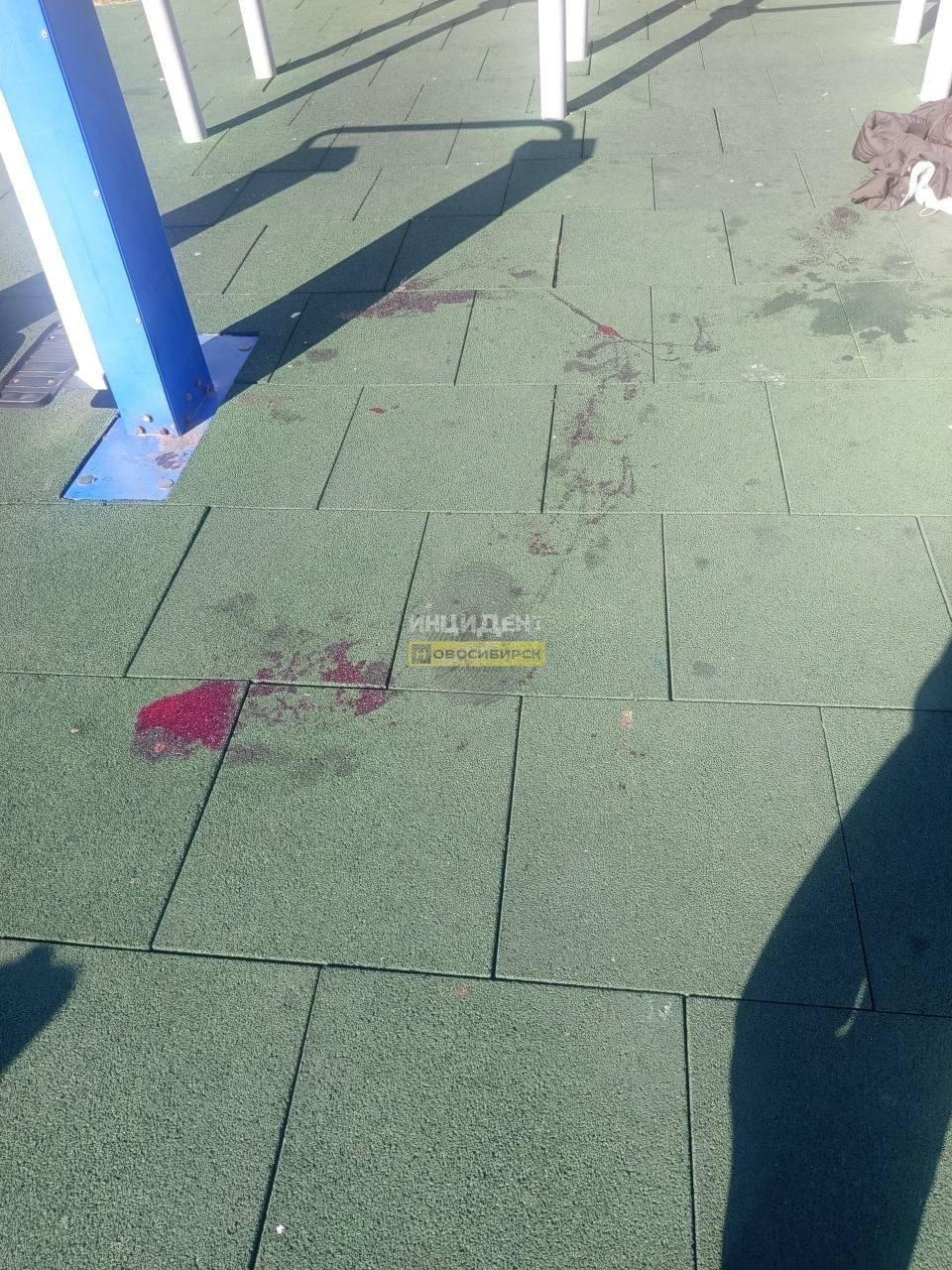 Фото В Новосибирске опубликовали кадры с места, где пырнули девочку ножом 2