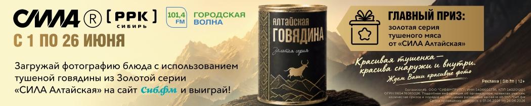 сила